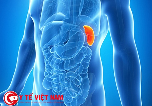 Ghi nhận trường hợp chửa ngoài tử cung đầu tiên tại Việt Na