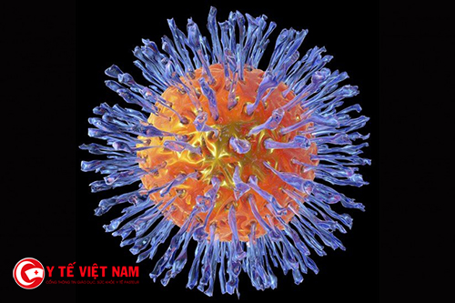 Virus Herpes gây ảnh hưởng đến sức khỏe nam giới