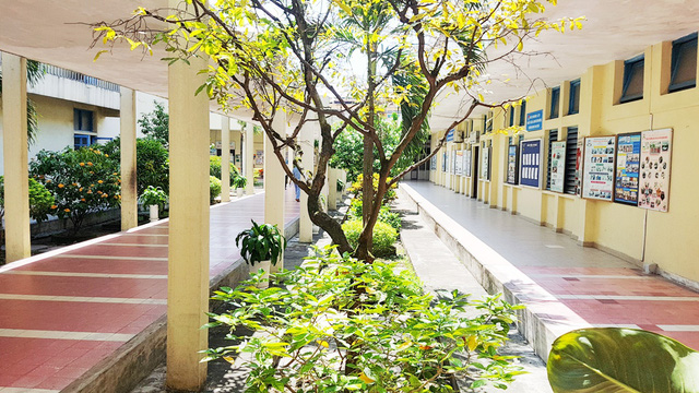 Khuôn viên bệnh viện được phủ cây xanh, cây cảnh.
