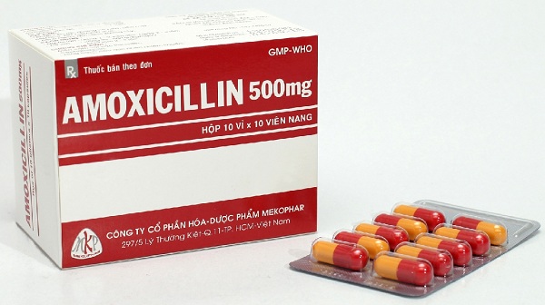 Những đối tượng cần thận trọng khi dùng thuốc kháng sinh Amoxicillin