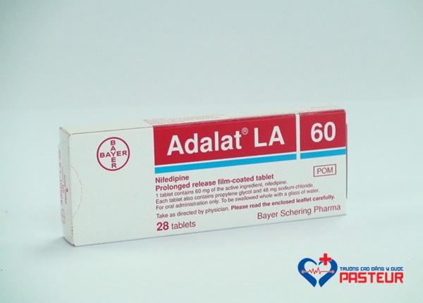  Lưu ý khi sử dụng thuốc Adalat LA