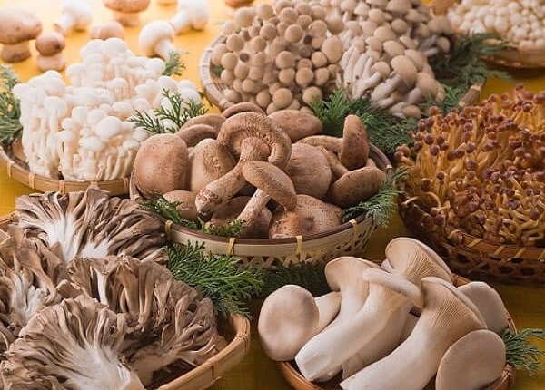 Các loại nấm ăn được rất giàu dinh dưỡng, nâng cao sức khỏe