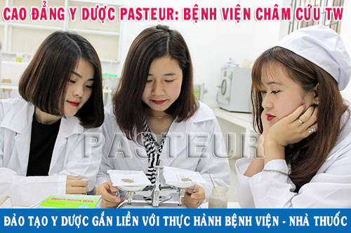 Học Cao đẳng Dược hãy chọn Trường Cao đẳng Y Dược Pasteur