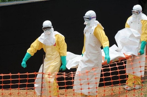 Dịch sốt xuất huyết ebola là gì?