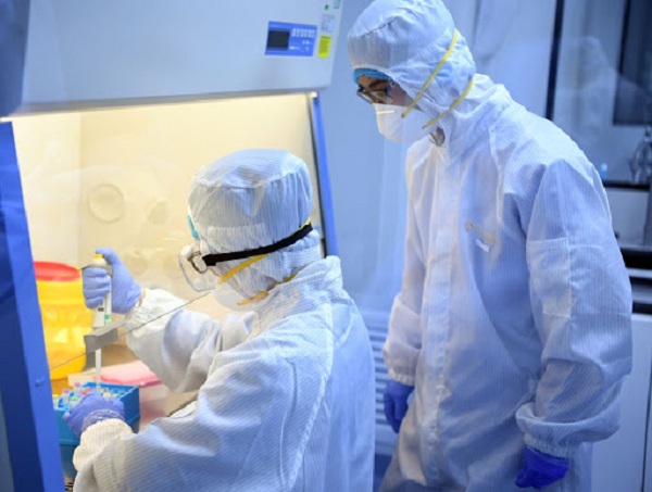 Các nhà khoa học đang nghiên cứu về virus gây bệnh COVID-19