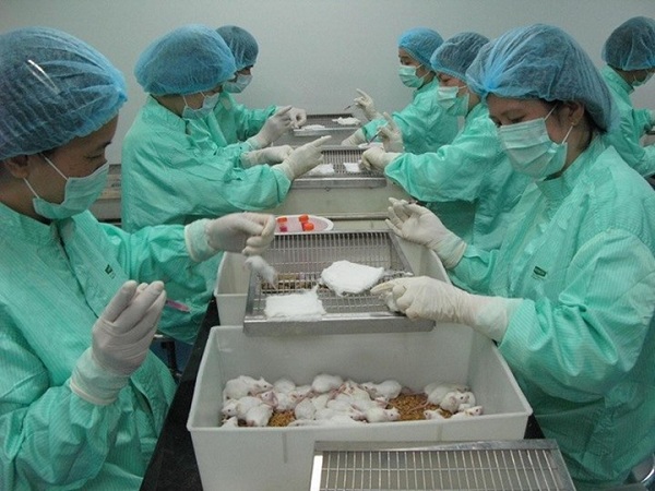 Việt Nam thử nghiệm vắc xin thành công trên chuột