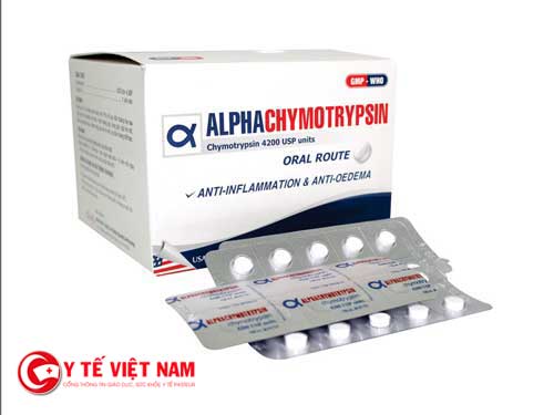 Chỉ định, chống chỉ định thuốc Alpha chymotrypsin là gì?