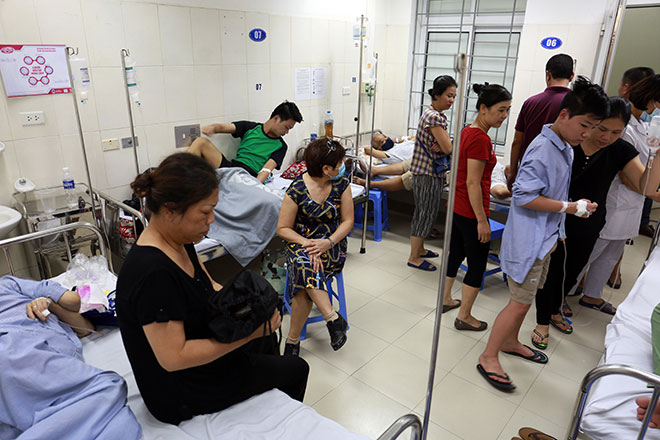 Ghi nhận 27,7 nghìn người Hà Nội mắc bệnh sốt xuất huyết