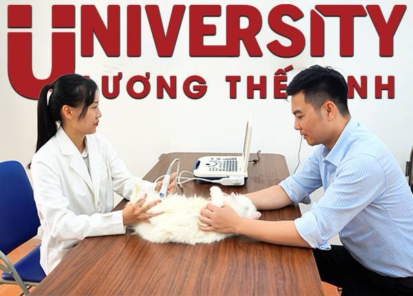 Đại học ngành Bác sĩ Thú y năm 2026 với 03 phương thức xét tuyển