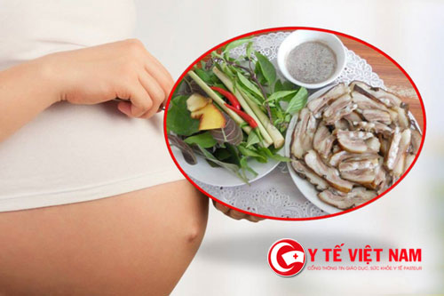 3 tháng đầu thai kỳ bà bầu có nên ăn thịt chó không?