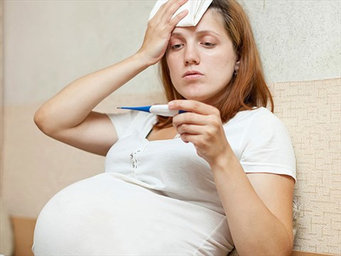 Sốt xuất huyết khi mang thai 7 tháng ảnh hưởng thế nào đến mẹ và thai nhi?