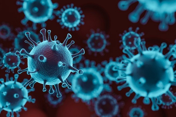 Các nhà khoa học khẳng định không thể có miễn dịch cộng đồng với SARS-CoV-2