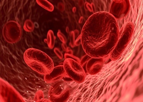 Có ảnh hưởng gì khi định lượng hồng cầu trong máu thấp?
