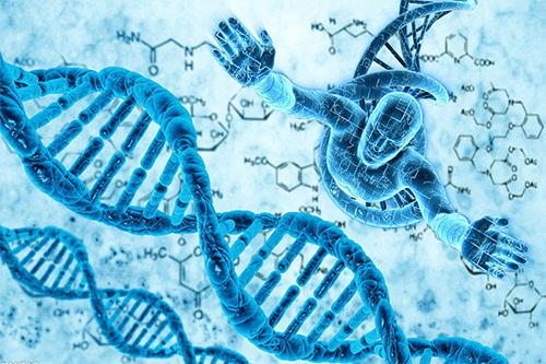 Tế bào gốc trong nghiên cứu ứng dụng vào lĩnh vực y dược học như thế nào?