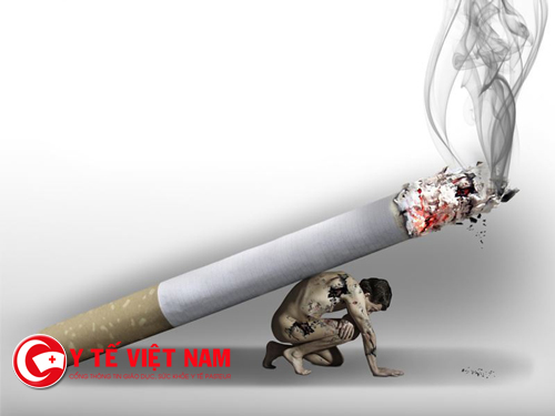 600.000 người chết mỗi năm vì hít phải khói thuốc từ môi trường