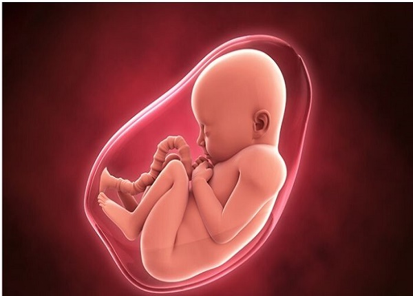 Triệu chứng của mẹ bầu gặp đa ối và biện pháp an toàn trong thai kỳ