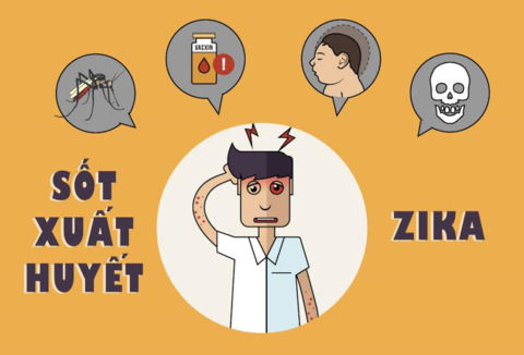 Phân biệt sốt xuất huyết và zika chính xác nhất